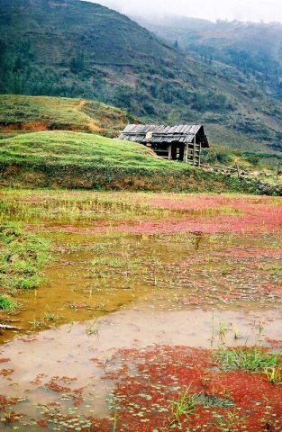 travel-86.jpg